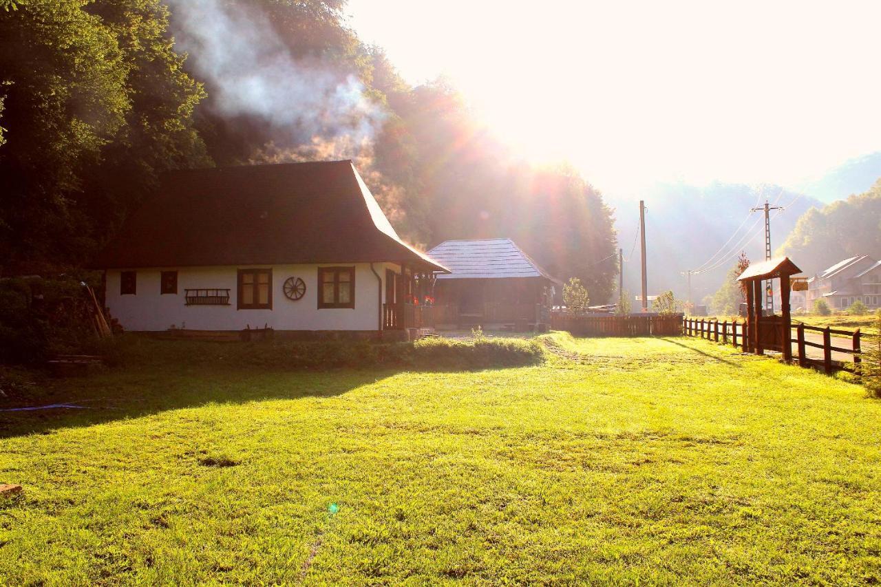 Casuta Din Valea Regilor Villa Gradistea de Munte Bagian luar foto
