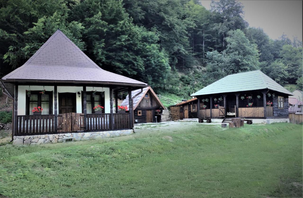 Casuta Din Valea Regilor Villa Gradistea de Munte Bagian luar foto