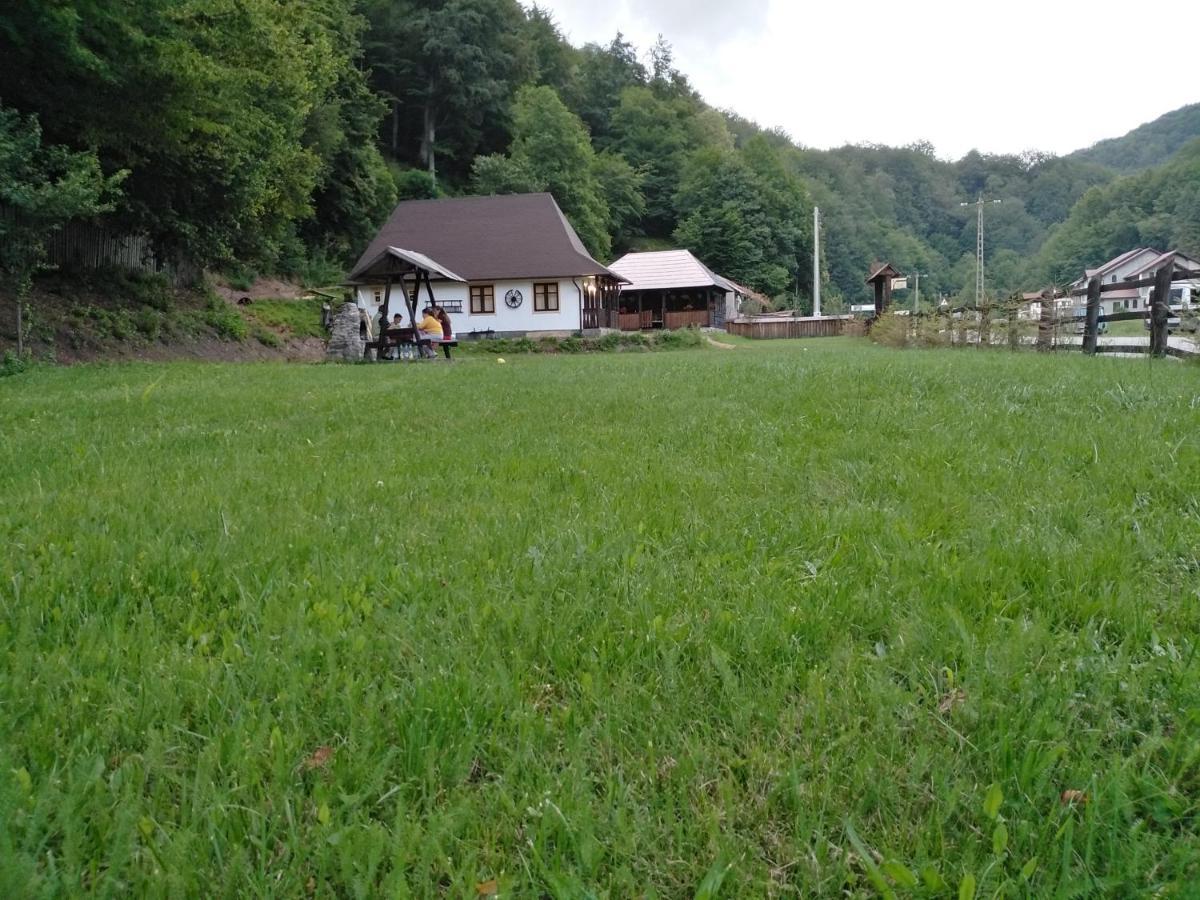 Casuta Din Valea Regilor Villa Gradistea de Munte Bagian luar foto