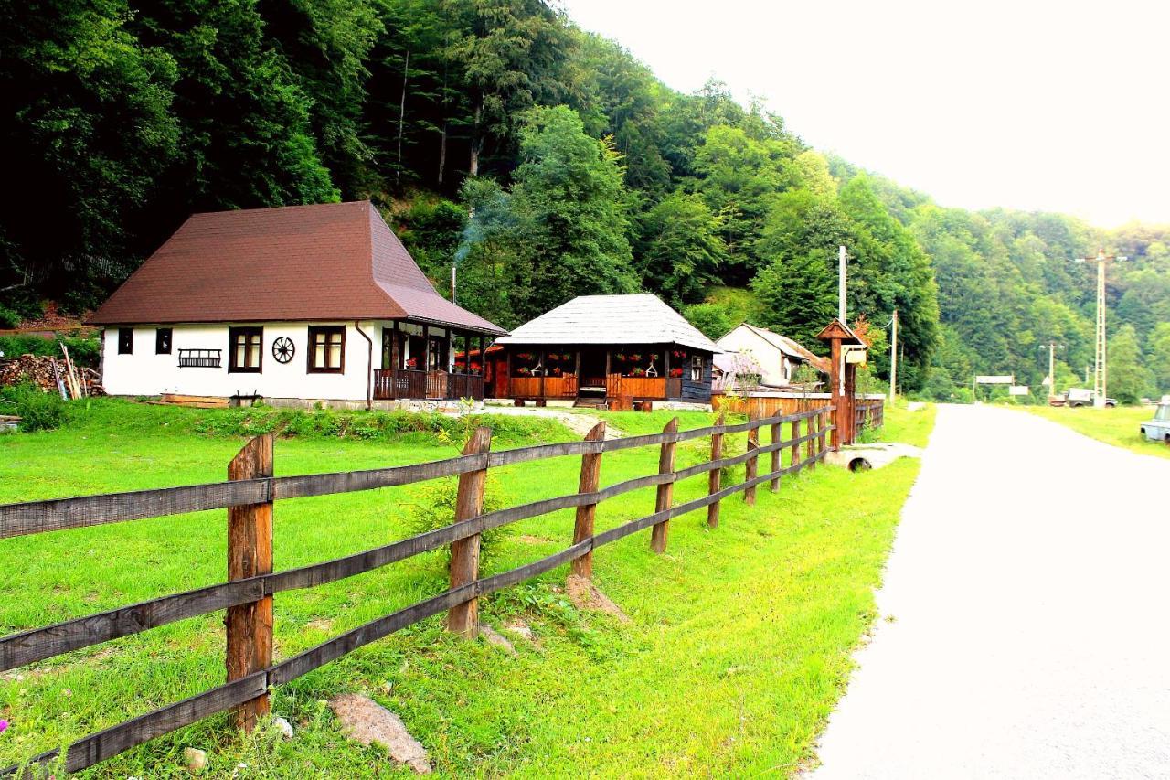 Casuta Din Valea Regilor Villa Gradistea de Munte Bagian luar foto