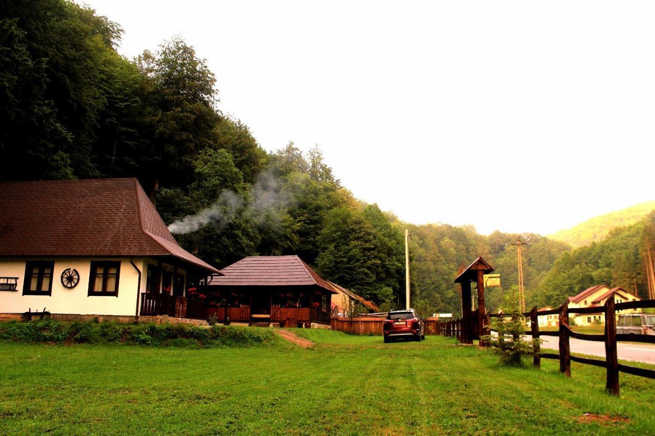 Casuta Din Valea Regilor Villa Gradistea de Munte Bagian luar foto