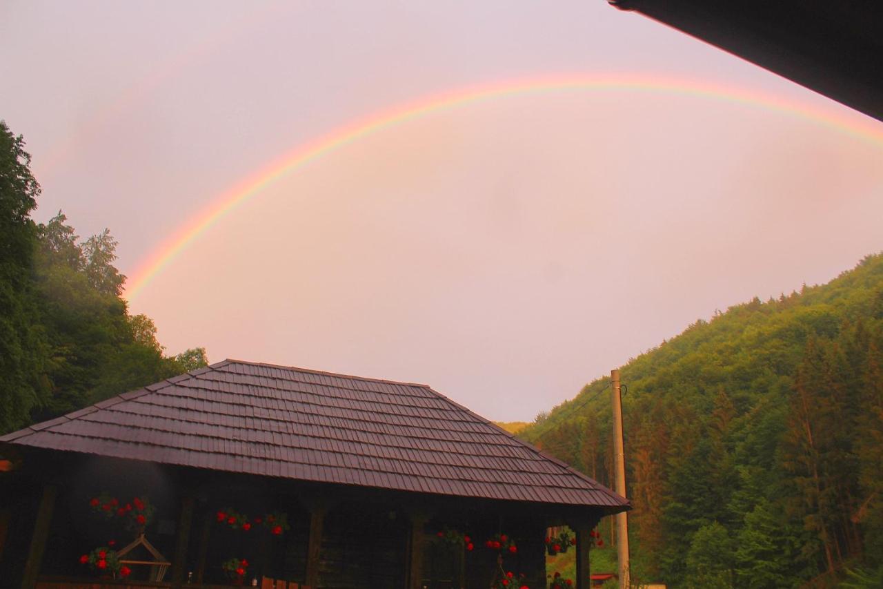 Casuta Din Valea Regilor Villa Gradistea de Munte Bagian luar foto