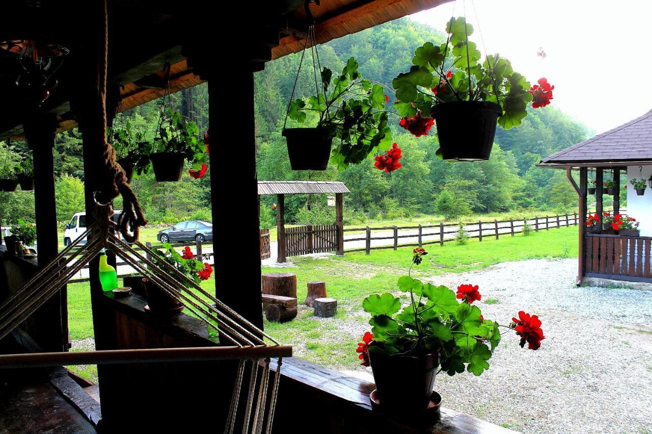 Casuta Din Valea Regilor Villa Gradistea de Munte Bagian luar foto