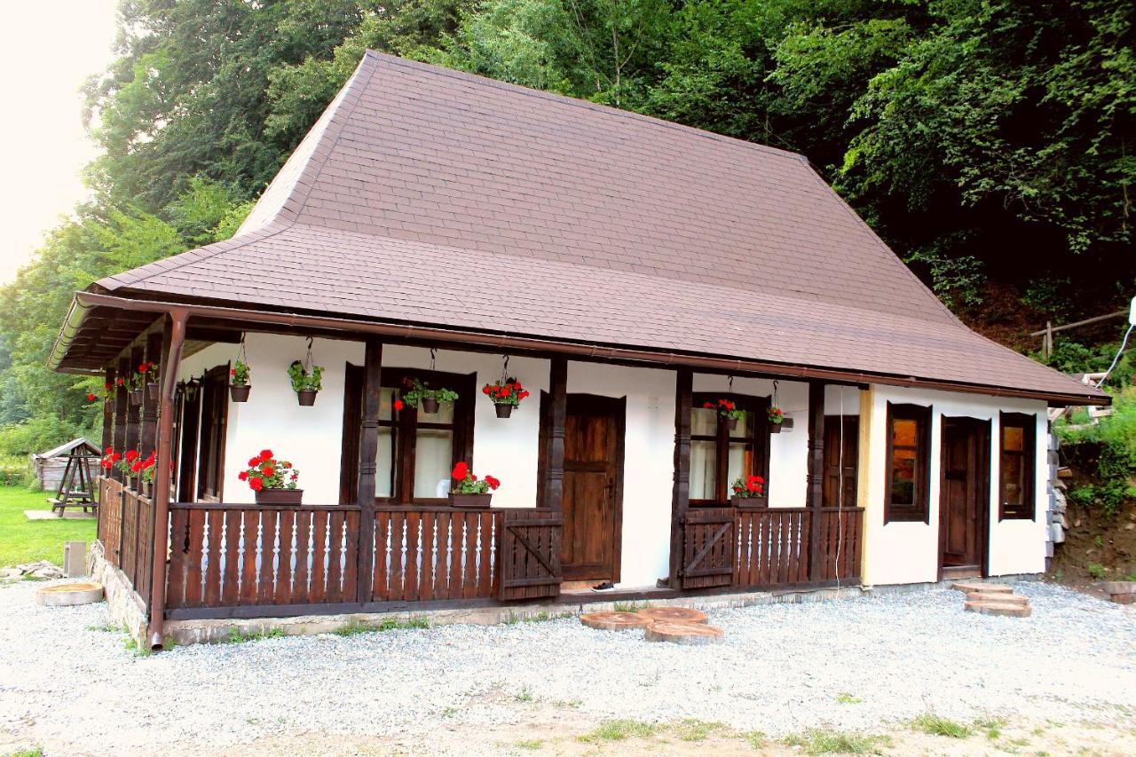 Casuta Din Valea Regilor Villa Gradistea de Munte Bagian luar foto