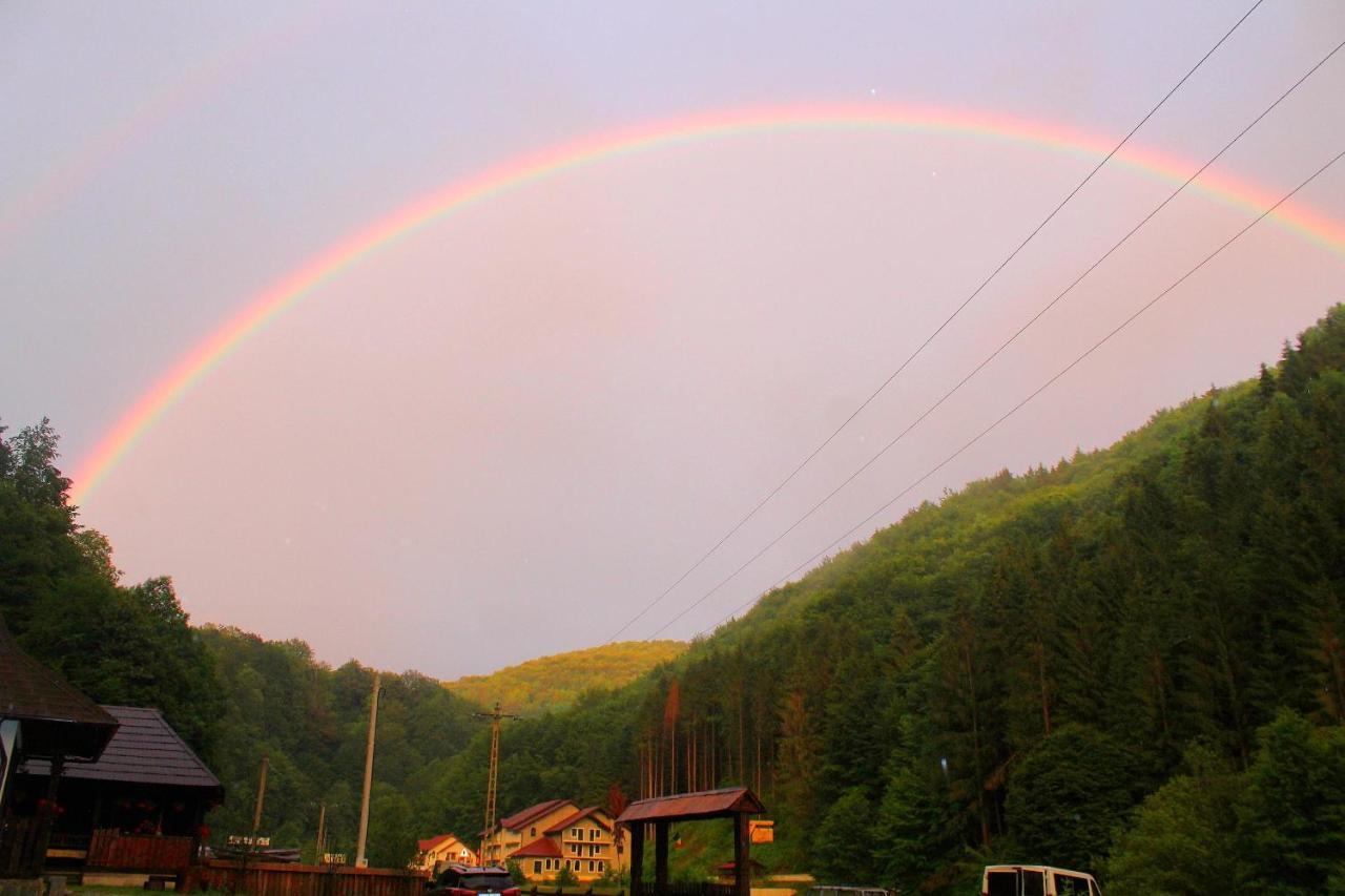 Casuta Din Valea Regilor Villa Gradistea de Munte Bagian luar foto