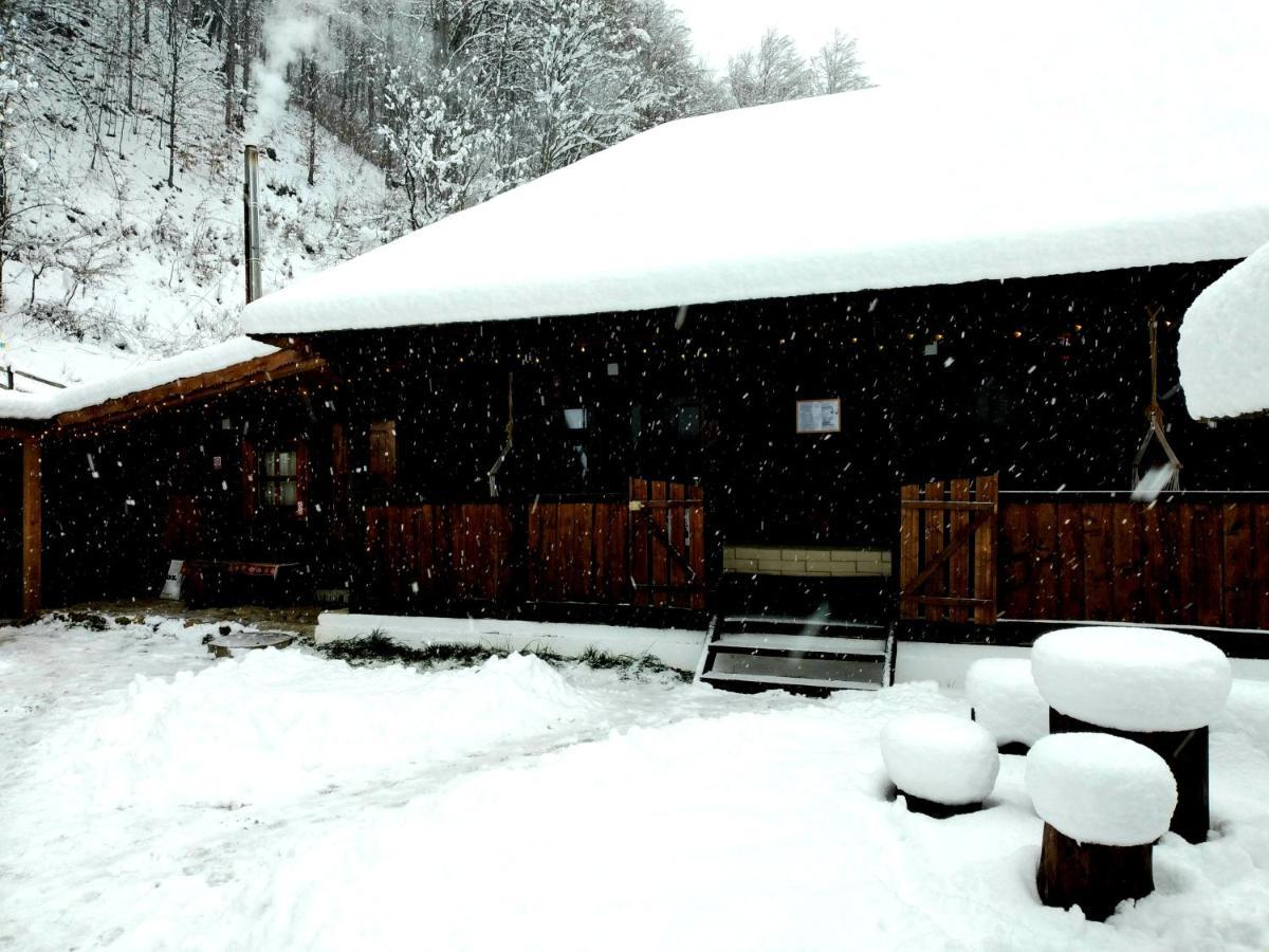 Casuta Din Valea Regilor Villa Gradistea de Munte Bagian luar foto