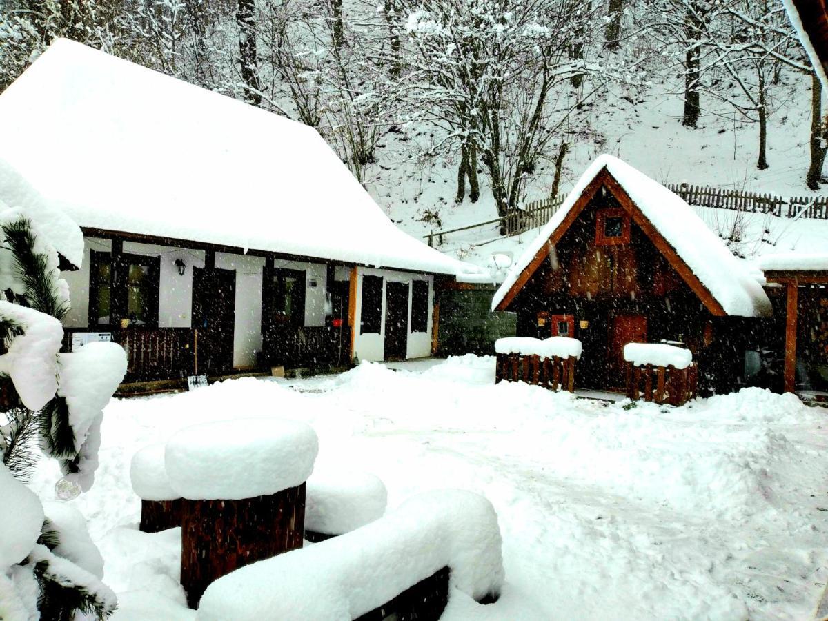 Casuta Din Valea Regilor Villa Gradistea de Munte Bagian luar foto