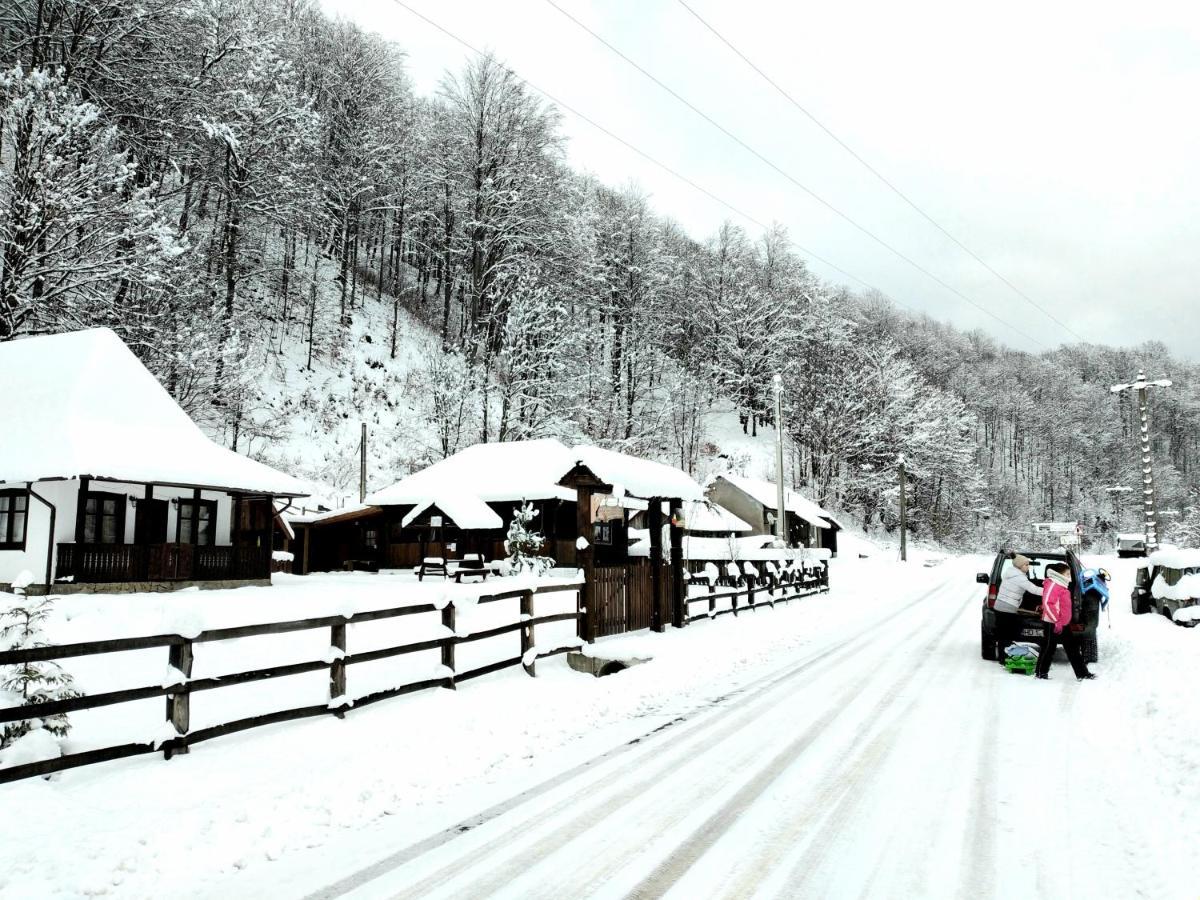 Casuta Din Valea Regilor Villa Gradistea de Munte Bagian luar foto
