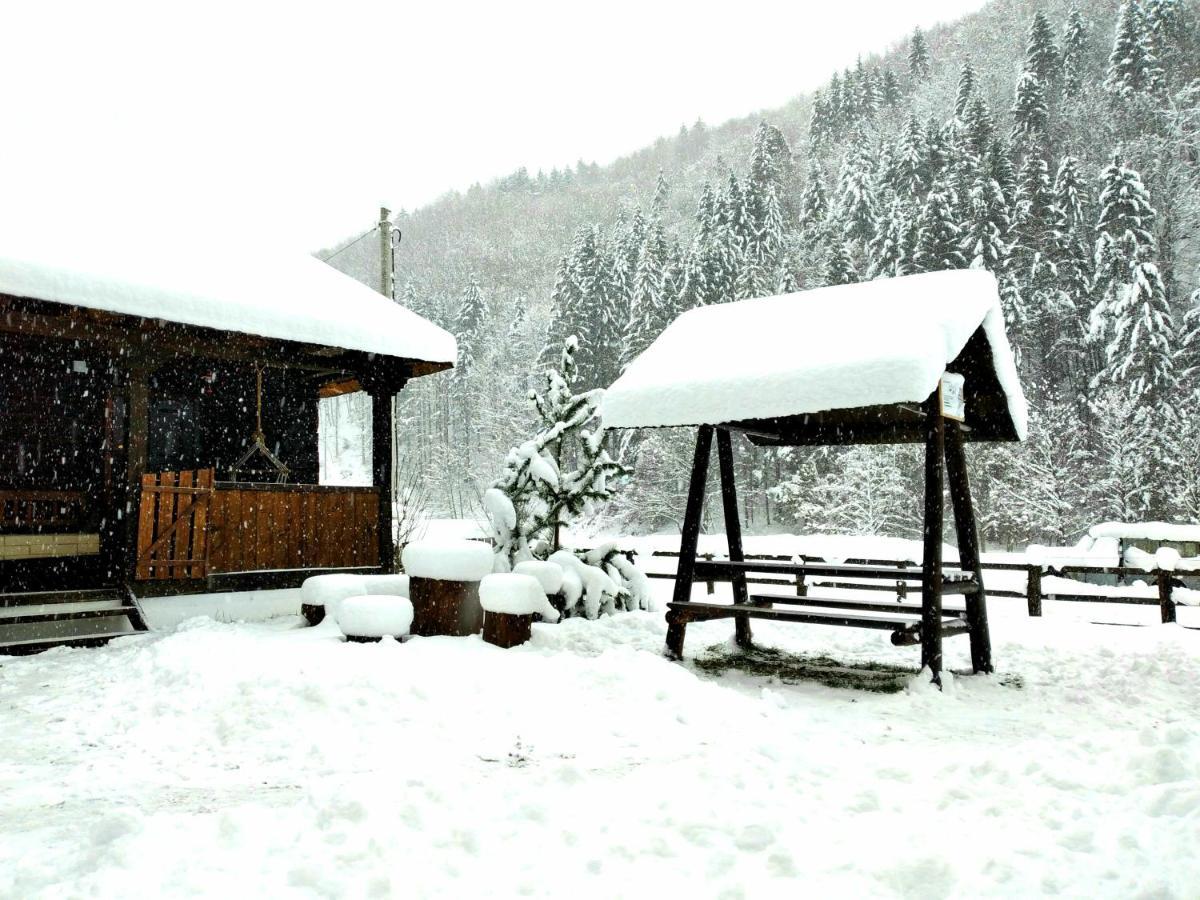 Casuta Din Valea Regilor Villa Gradistea de Munte Bagian luar foto