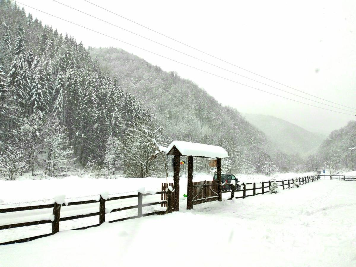 Casuta Din Valea Regilor Villa Gradistea de Munte Bagian luar foto