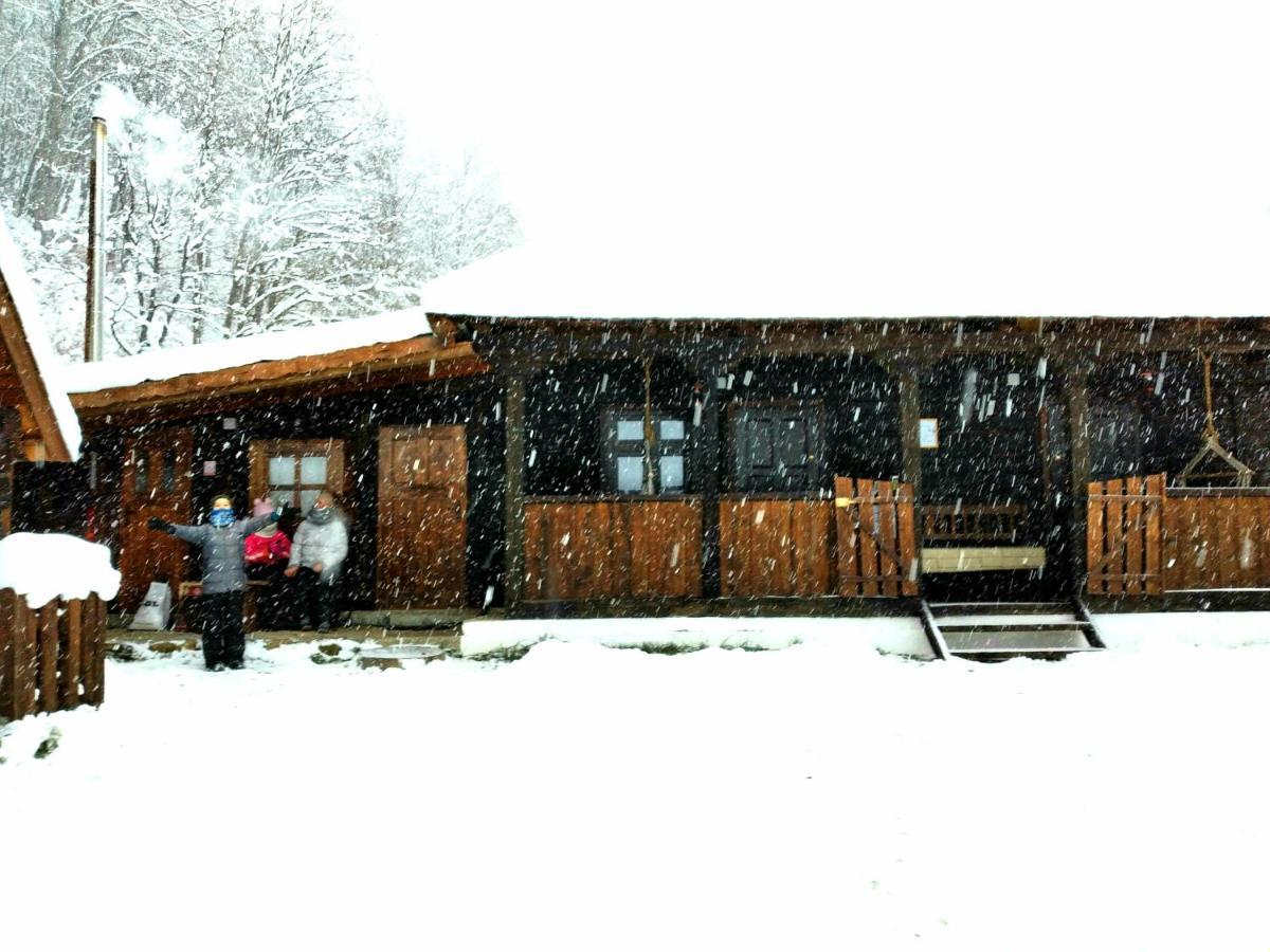 Casuta Din Valea Regilor Villa Gradistea de Munte Bagian luar foto