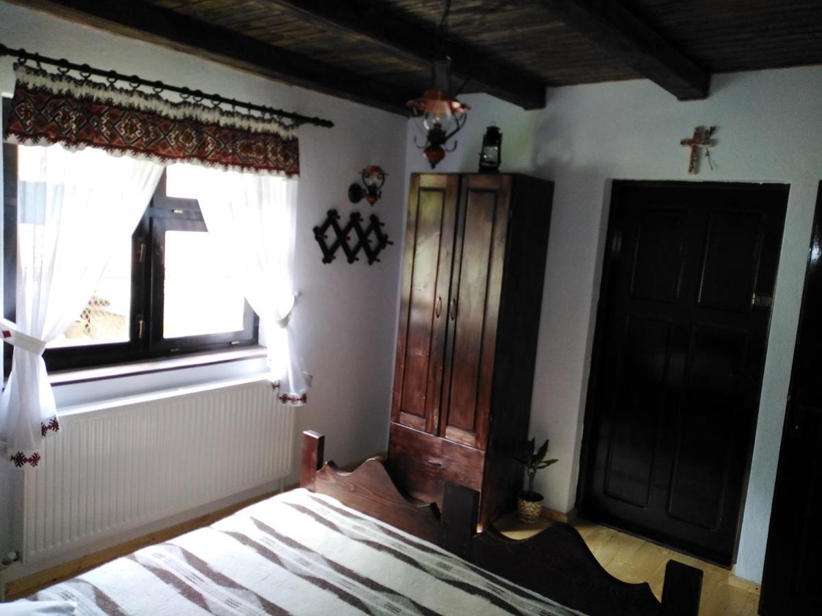 Casuta Din Valea Regilor Villa Gradistea de Munte Bagian luar foto